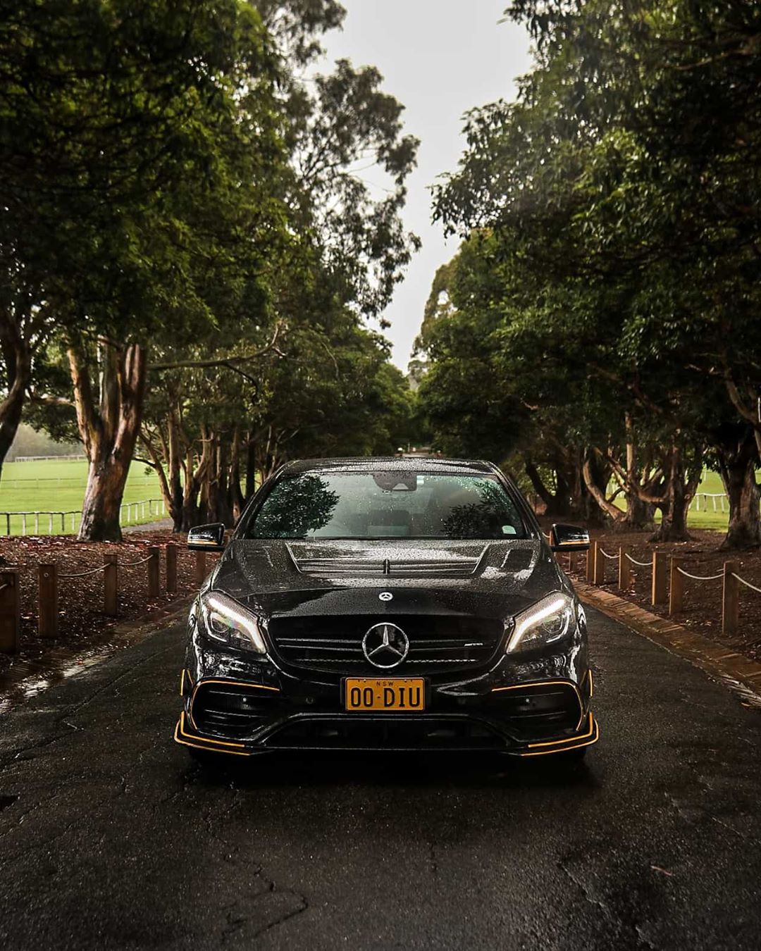 2012-2014 Mercedes Benz A Class W176 A-Class & A45 Vs Hood Accessories