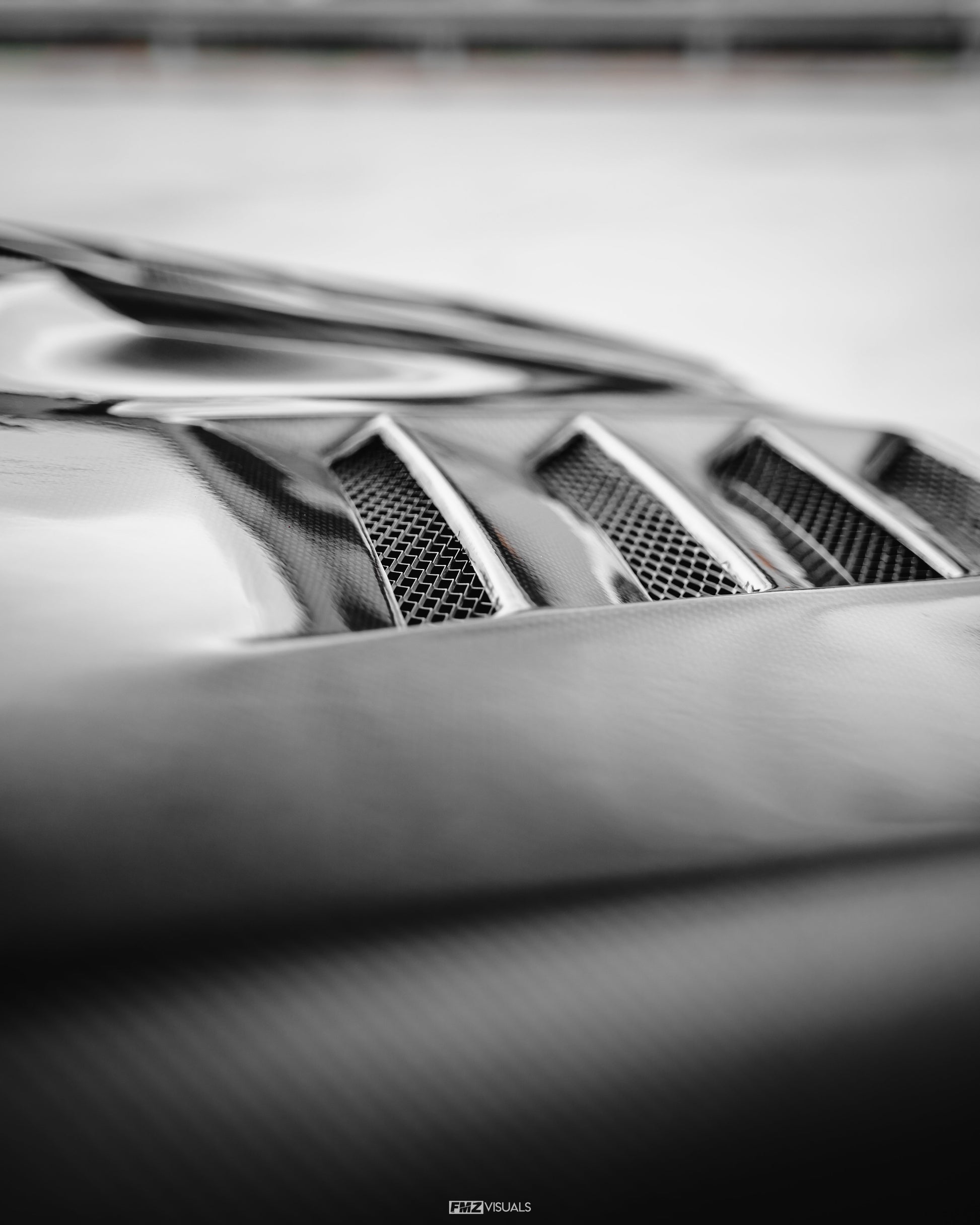 Evolution X 10 Vs Ver.2 Hood Accessories