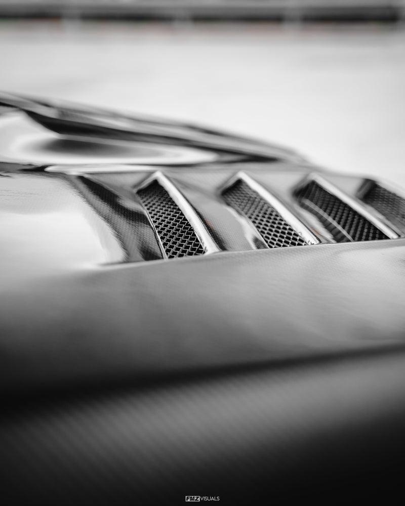 Evolution X 10 Vs Ver.2 Hood Accessories