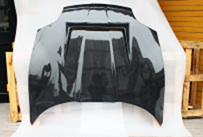 1995-2000 Mitsubishi Fto Creative Style Hood Accessories