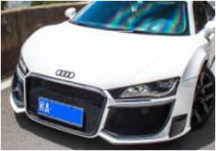 Audi R8 Oem Hood Accessories