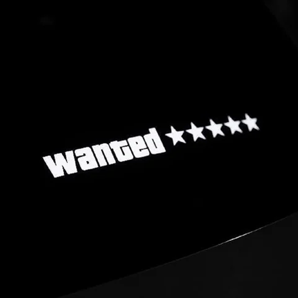 Wanted Car Window Glow Panel LED Light